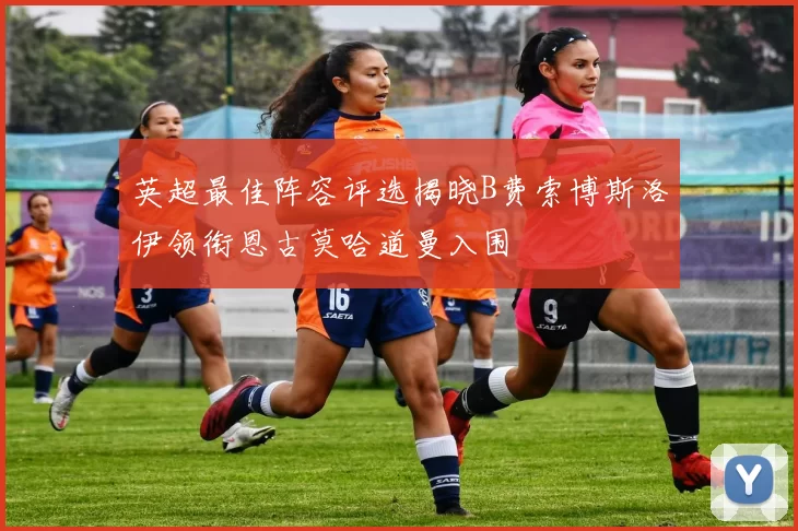 英超最佳阵容评选揭晓B费索博斯洛伊领衔恩古莫哈道曼入围