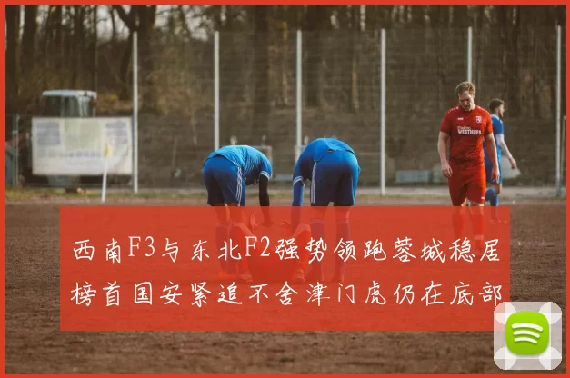 西南F3与东北F2强势领跑蓉城稳居榜首国安紧追不舍津门虎仍在底部挣扎